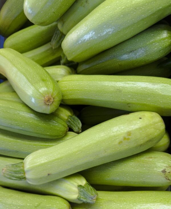 Baby Marrow 500g UAE – Fresh Zucchini Courgettes Wholesale & Supplier Dubai - wholesale supplier | AgroFoods Global