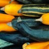 Zucchini Cored - wholesale supplier | AgroFoods Global