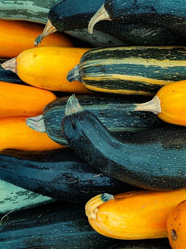 Zucchini Cored - wholesale supplier | AgroFoods Global