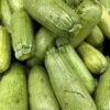 Zucchini — Bulk & Wholesale Supply