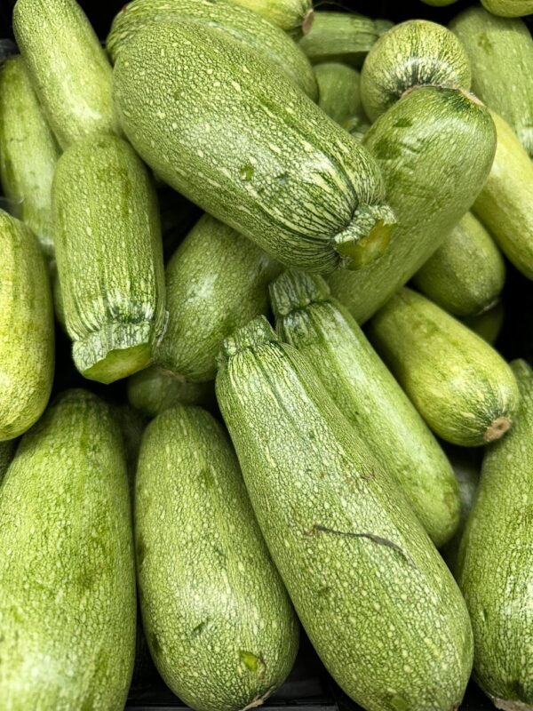 Zucchini — Bulk & Wholesale Supply